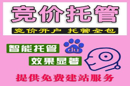 案例剖析：SEM代运营如何助力中小企业